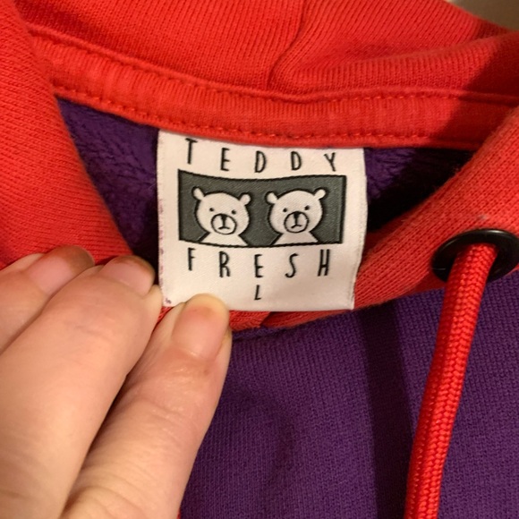 Teddy Fresh Mens hoodie size Large colorblock heavyweight - Picture 5 of 10